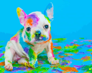 Schilderen op Nummer Honden PBN463